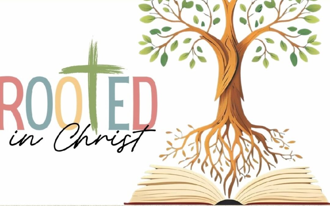 The Rooted Experience 