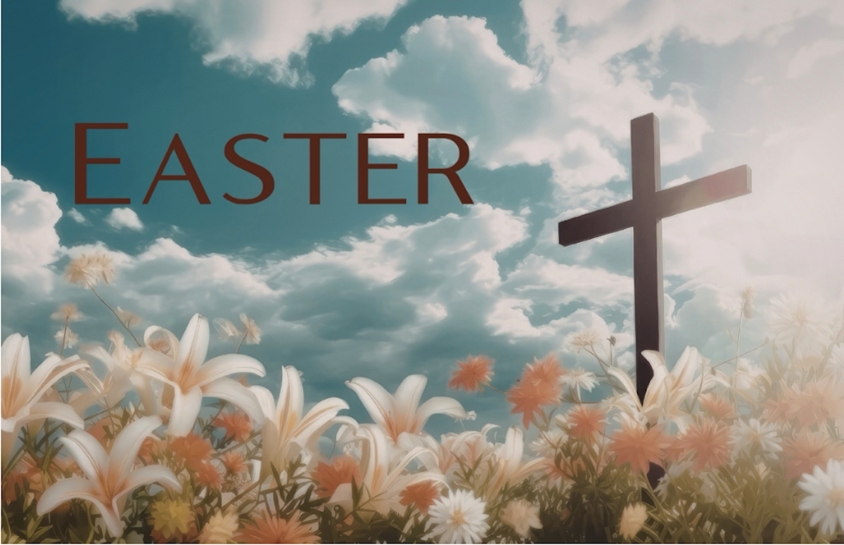 Alive in Christ