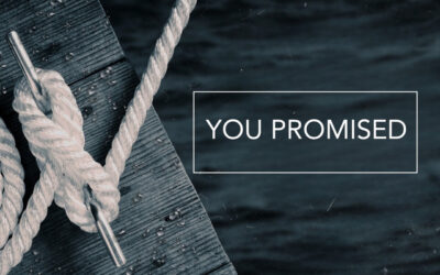 You Promised: To Hear Our Cry for Help