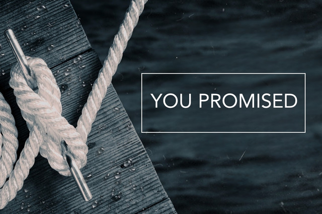 You Promised: What God Does Not Promise